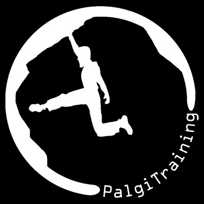 PalgiTraining לוגו